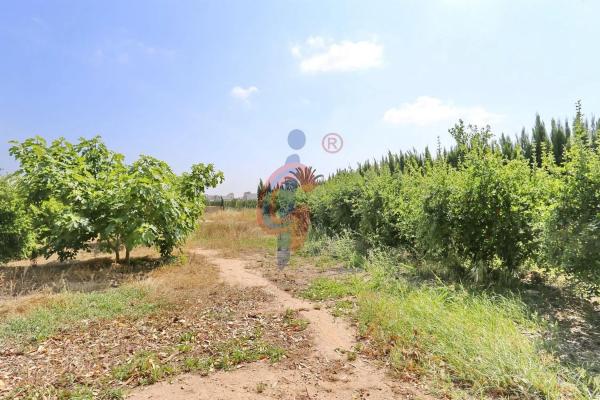 Casa independiente en carretera Nacional N-340