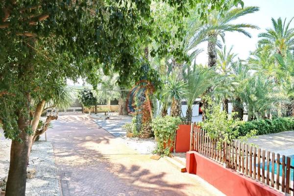 Casa independiente en carretera Nacional N-340