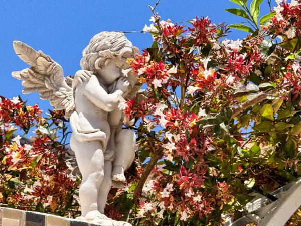 Chalet en calle Murillo