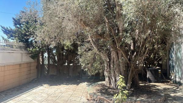 Casa independiente en Cl Dr Giner Reus, 3