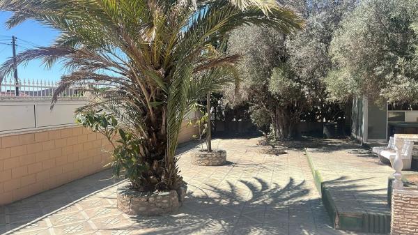 Casa independiente en Cl Dr Giner Reus, 3