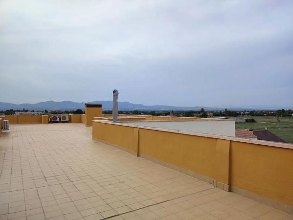 Piso en crevillente, 44