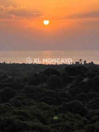 Casa independiente en calle Blasco Ibáñez