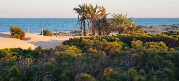 Piso en calle Hermanos Bazán
