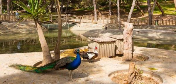 Piso en calle Hermanos Bazán