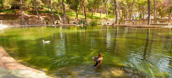 Piso en calle Hermanos Bazán