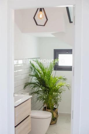 Casa independiente en calle Algarrobo