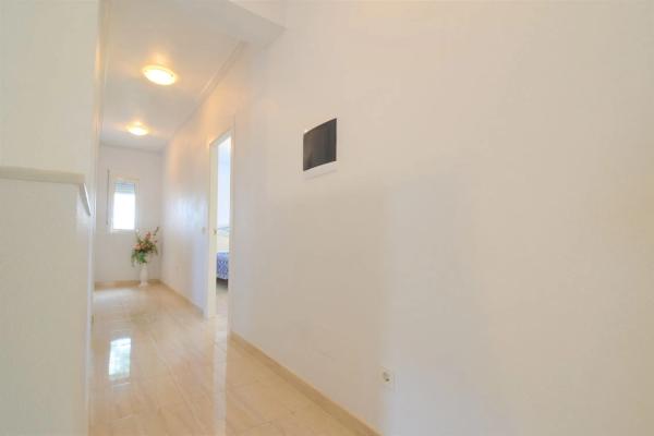 Casa independiente en calle los Rosales