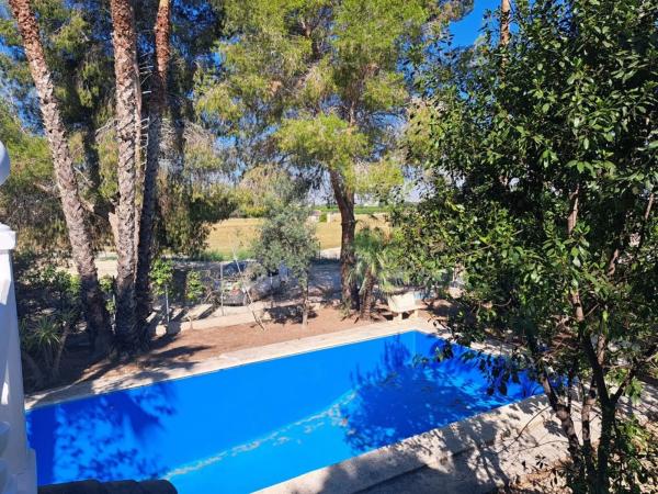 Chalet en Orihuela Ciudad