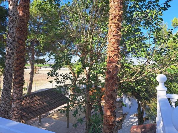 Chalet en Orihuela Ciudad