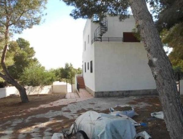 Casa independiente en calle Abeto p c