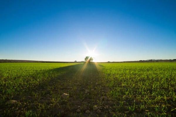 Piso en calle Torresal