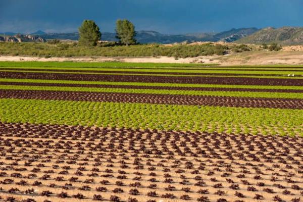 Piso en calle Torresal