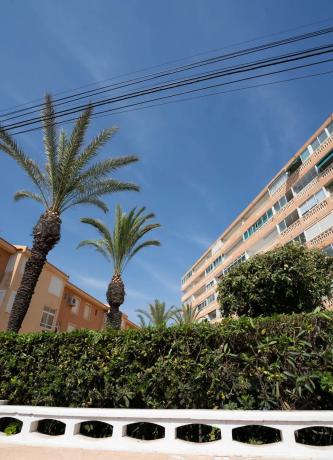 Estudio en avenida de Inglaterra