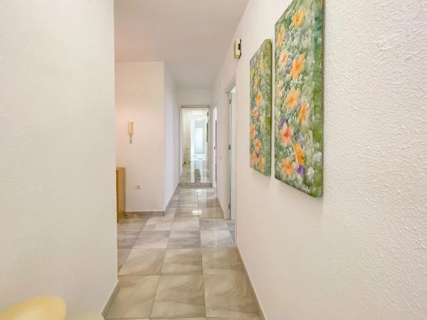 Piso en avenida Virgen del Carmen