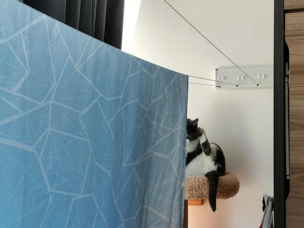 Estudio en avenida de Inglaterra, 81