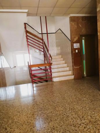 Estudio en avenida Doctor Mariano Ruiz Canovas, 5