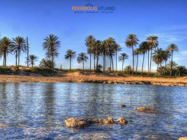 Ático en calle de Pedro Lorca s/n