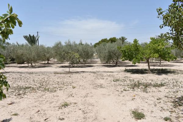 Casa independiente en Partida Daimes