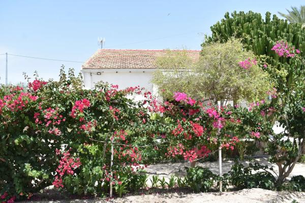 Casa independiente en Partida Daimes