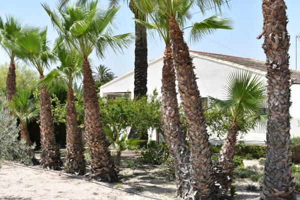 Casa independiente en Partida Daimes