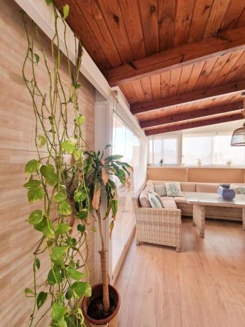 Ático en Barrio Zona Universidad