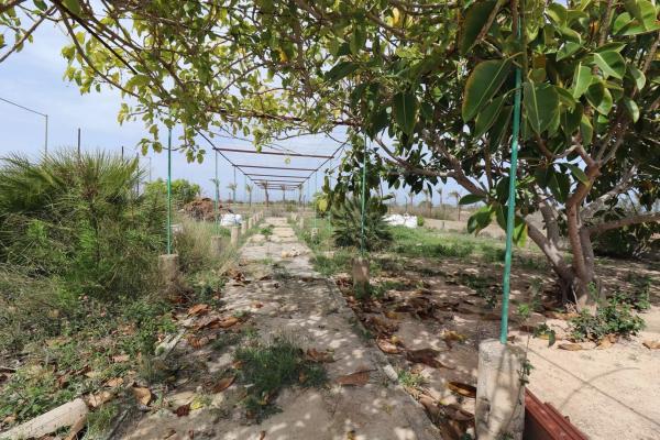 Casa rural en Partida de La Marina s/n