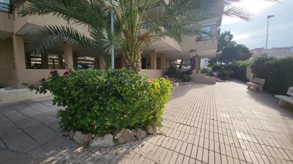 Piso en Arenales del Sol