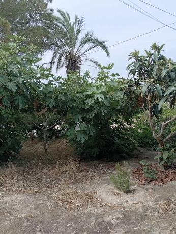 Casa independiente en Pd Valverde Bajo, 1196