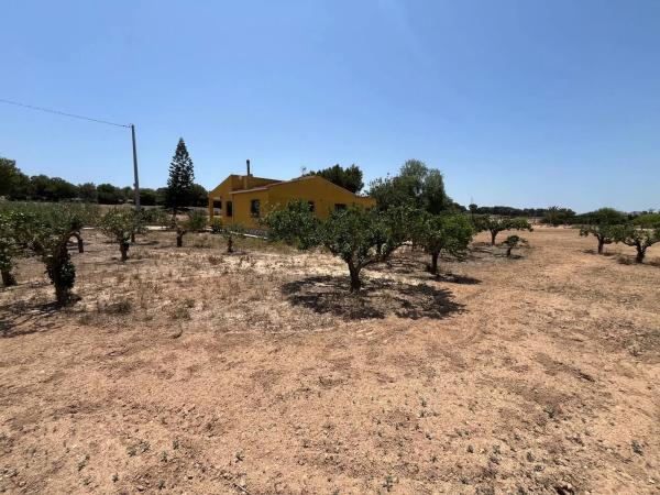 Casa independiente en Pd Marina, 2059