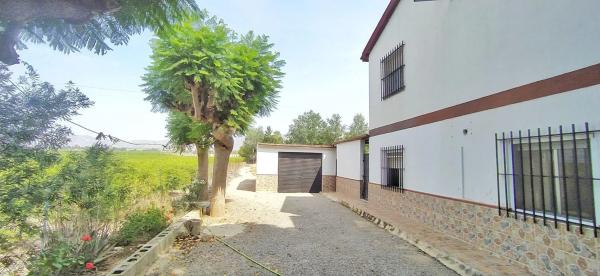 Casa independiente en Partida Amoros