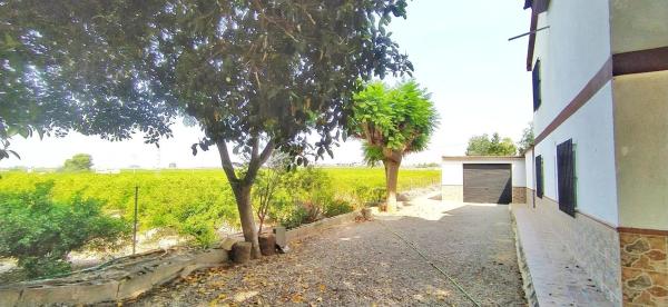 Casa independiente en Partida Amoros