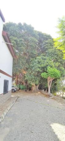 Casa independiente en Partida Amoros