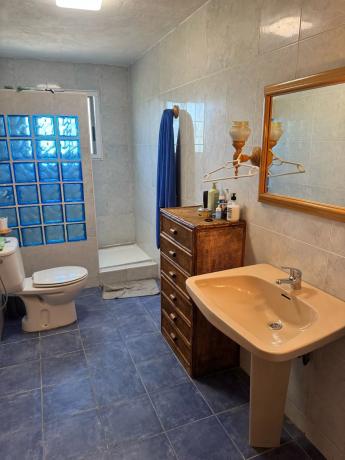 Casa terrera en avenida d'Algoda, 6