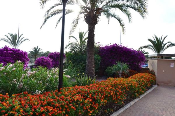 Dúplex en Arenales del Sol