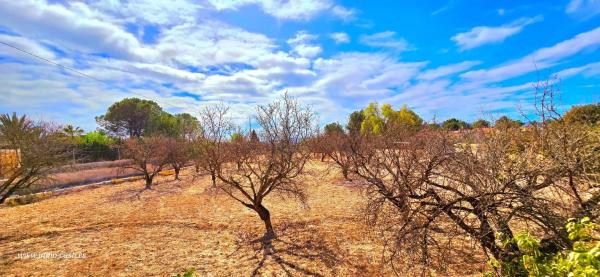 Casa independiente en Partida del Campillo