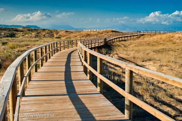 Piso en Arenales del Sol