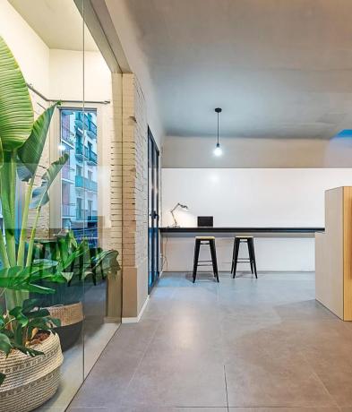 Estudio en calle dels Arbres, 6