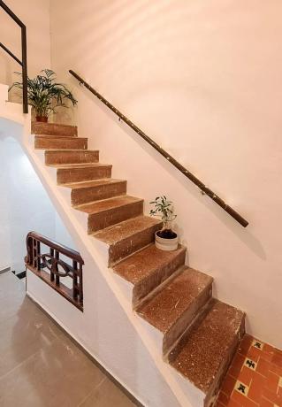 Estudio en calle dels Arbres, 6