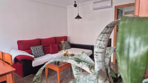 Piso en Cl Capitan Baltasar Tristany, 148