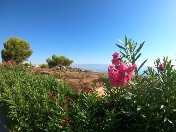 Chalet en calle Handel s/n