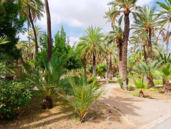Casa independiente en Urbanización Buenos Aires