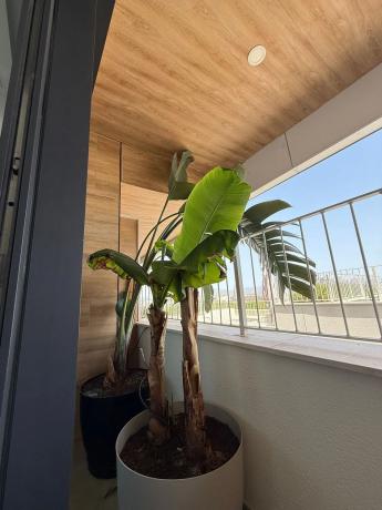 Dúplex en calle de Holanda, 9