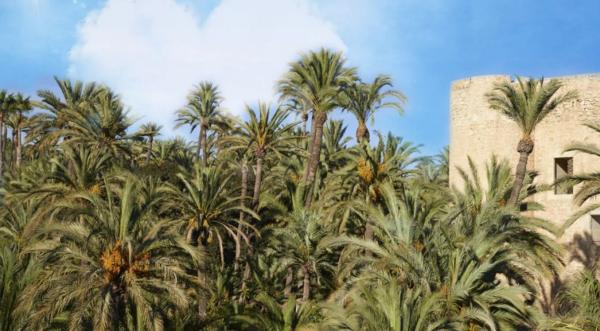 Piso en calle Porta d'Alacant