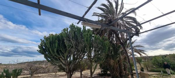 Casa rural en camino salades torrellano s/n