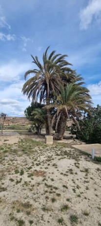 Casa rural en camino salades torrellano s/n