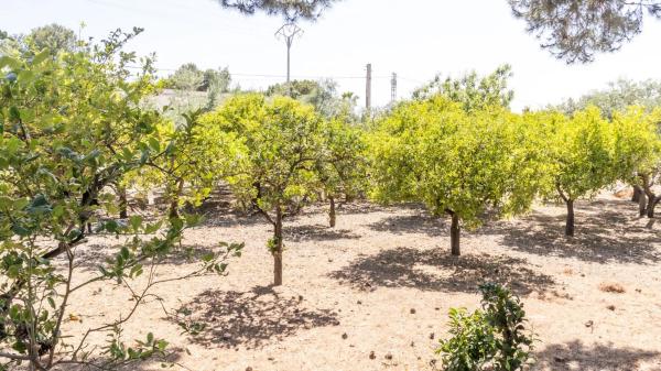 Casa independiente en Pd. Altabix Pol. 1