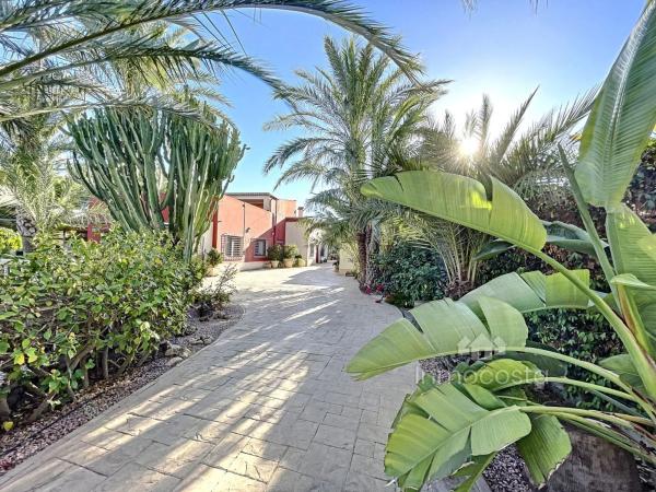 Casa independiente en Partida la Marina