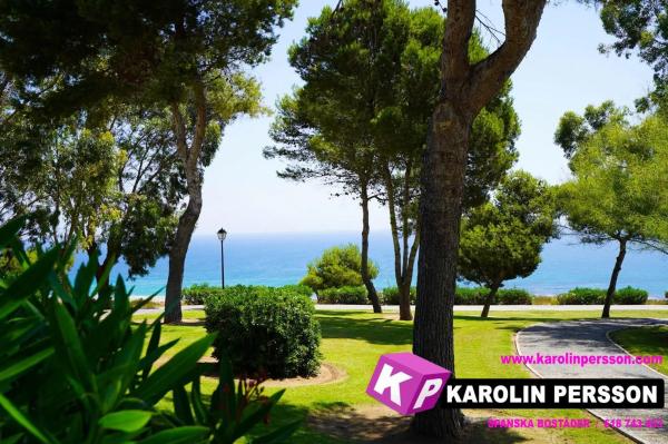 Casa independiente en calle Handel