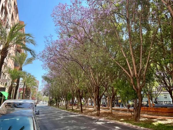 Piso en Barrio Pont Nou-Corazón de Jesús